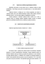 Biznesa plāns 'SIA "Medus Paradīze"', 9.