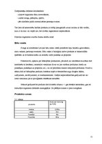 Biznesa plāns 'SIA "Medus Paradīze"', 13.