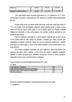 Biznesa plāns 'SIA "Medus Paradīze"', 20.