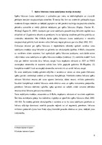 Eseja 'Mūsdienās pastāvošais varas sadalījuma / spēku līdzsvara modelis starptautiskajā', 5.