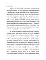 Referāts 'Saistību pastiprināšana, to veidi', 6.