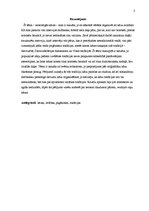 Referāts 'Nekristīgo kāzu tradīciju izmantojums mūsdienās', 3.