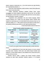 Referāts 'Juridiskās informācijas meklēšanas un atlases metodes', 15.