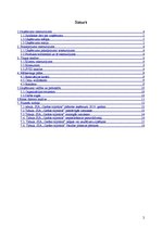 Biznesa plāns 'Biznesa plāns', 2.