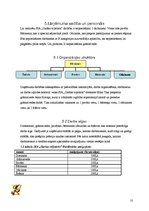 Biznesa plāns 'Biznesa plāns', 10.