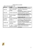 Biznesa plāns 'Biznesa plāns', 11.