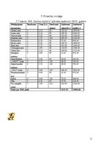 Biznesa plāns 'Biznesa plāns', 12.