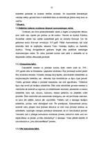 Referāts 'Politiskās kultūras struktūras elementi', 16.