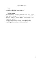 Referāts 'Psihoanalīzes metode J.Akuratera stāstā "Degoša sala"', 10.