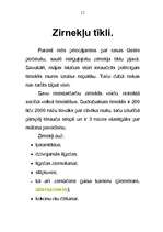 Referāts 'Zirneklis', 11.