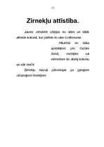 Referāts 'Zirneklis', 15.