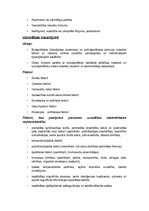 Prezentācija 'Bērni ar īpašām vajadzībām', 51.