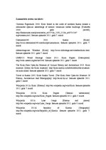 Referāts 'Kižu sala', 5.