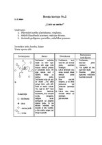 Konspekts 'Kustību rotaļas', 2.