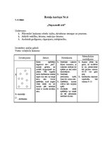 Konspekts 'Kustību rotaļas', 6.