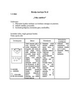 Konspekts 'Kustību rotaļas', 8.