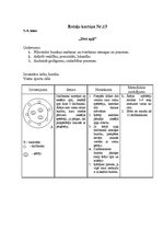 Konspekts 'Kustību rotaļas', 13.