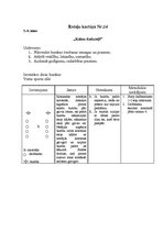 Konspekts 'Kustību rotaļas', 14.