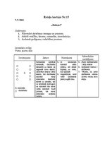 Konspekts 'Kustību rotaļas', 15.