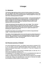 Biznesa plāns 'Marketing Plan Company "Simeks"', 46.