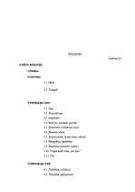 Konspekts 'Ārzemju ziņu saturs laikrakstos "Neatkarīgā Rīta Avīze" latviešu valodā un "Tele', 11.