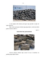 Referāts 'Nolietotu autotransporta līdzekļu pārstrādes nozares darbības risinājumi Latvijā', 33.