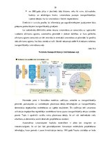 Referāts 'Nolietotu autotransporta līdzekļu pārstrādes nozares darbības risinājumi Latvijā', 37.