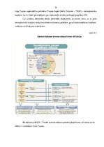 Referāts 'Nolietotu autotransporta līdzekļu pārstrādes nozares darbības risinājumi Latvijā', 38.