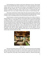 Referāts 'Characteristics of Food & Beverages sector in Latvia', 9.