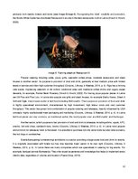 Referāts 'Characteristics of Food & Beverages sector in Latvia', 12.