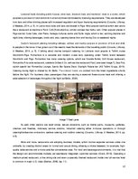 Referāts 'Characteristics of Food & Beverages sector in Latvia', 13.