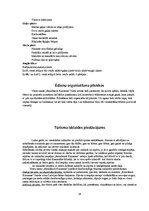 Prakses atskaite 'Kvalifikācijas prakses atskaite', 14.