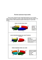 Prakses atskaite 'Kvalifikācijas prakses atskaite', 26.