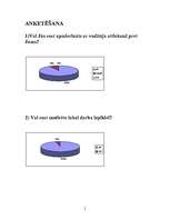 Referāts 'Vadītāja attieksmes ietekme', 5.