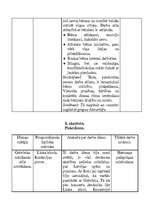 Prakses atskaite 'Psihologa asistenta profesionālās kvalifācijas prakses atskaite', 5.