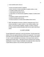 Prakses atskaite 'Prakses atskaite Kurzemes apgabaltiesā', 20.