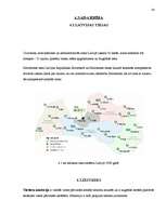 Prakses atskaite 'Prakses atskaite Kurzemes apgabaltiesā', 38.