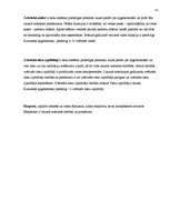 Prakses atskaite 'Prakses atskaite Kurzemes apgabaltiesā', 41.