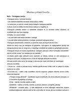 Konspekts 'J.Kiss "Mūsdienu politiskā filosofija" un O.Hefe "Taisnīgums"', 6.