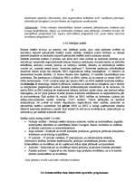 Prakses atskaite 'Prakses atskaite finanšu grāmatvedībā', 9.