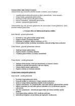 Prakses atskaite 'Prakses atskaite finanšu grāmatvedībā', 11.