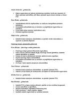 Prakses atskaite 'Prakses atskaite finanšu grāmatvedībā', 13.