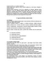 Prakses atskaite 'Prakses atskaite finanšu grāmatvedībā', 20.