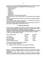 Prakses atskaite 'Prakses atskaite finanšu grāmatvedībā', 21.