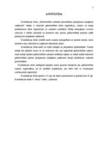 Diplomdarbs 'Grāmatvedības uzskaites pilnveidošana pakalpojumu sniegšanas uzņēmumā', 3.