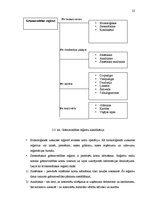 Diplomdarbs 'Grāmatvedības uzskaites pilnveidošana pakalpojumu sniegšanas uzņēmumā', 22.