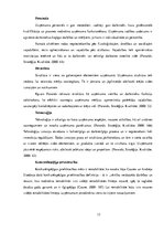 Diplomdarbs 'SIA "Estēts" mārketinga stratēģija', 13.