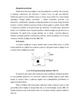 Diplomdarbs 'SIA "Estēts" mārketinga stratēģija', 24.
