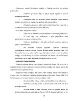 Diplomdarbs 'SIA "Estēts" mārketinga stratēģija', 29.