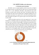 Diplomdarbs 'SIA "Estēts" mārketinga stratēģija', 36.